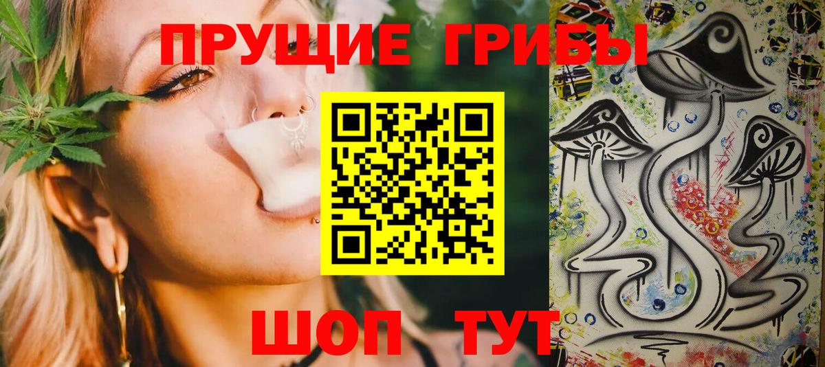 Балашов  Псилоцибиновые грибы прущие грибы  где купить   Вход с VPN 